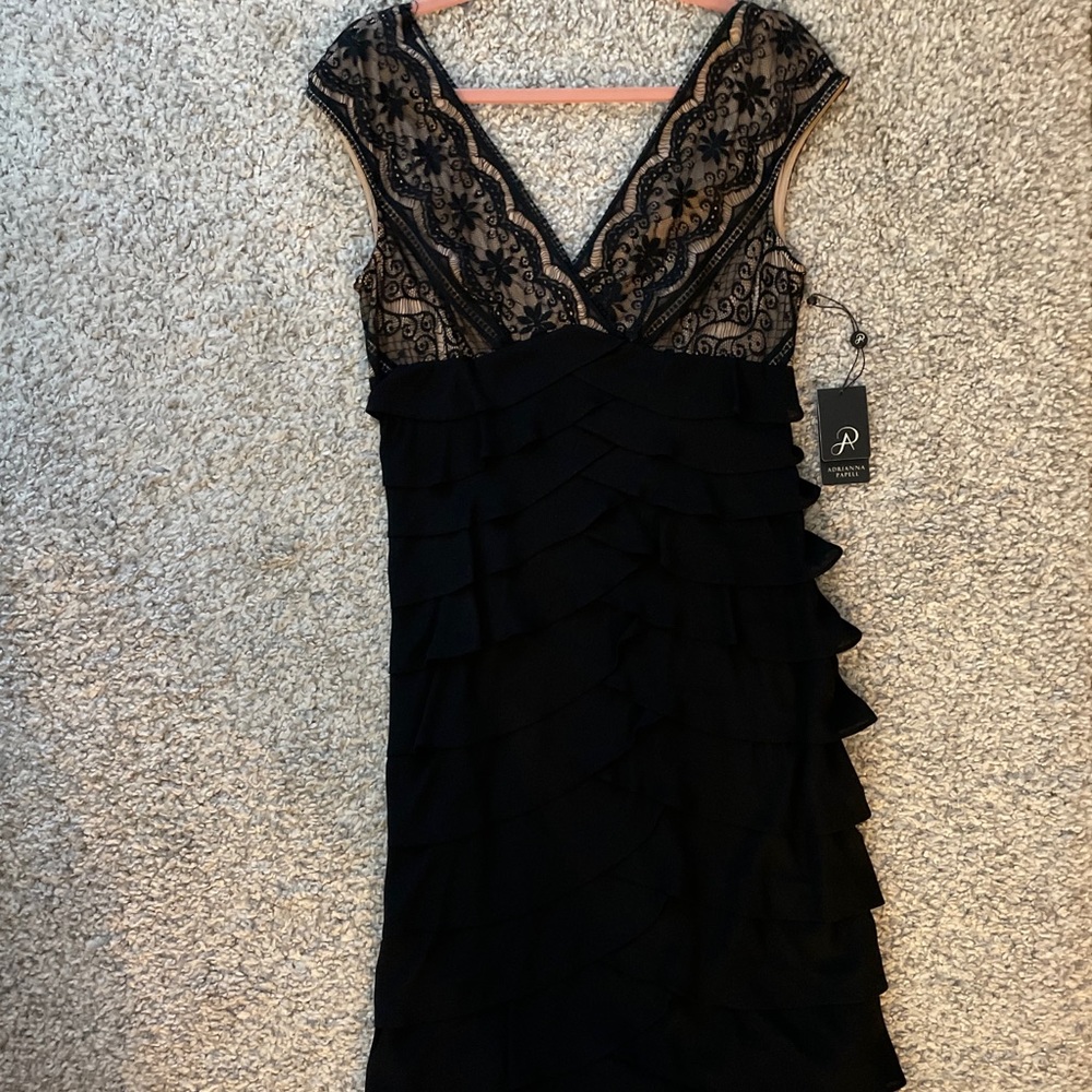 Adrianna Papell Lace Bodice Shutter Dress - Picture 13 of 16